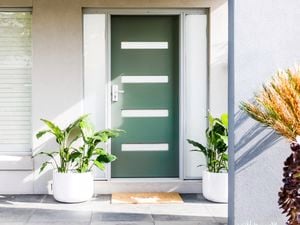Freshly painted green front door with two potted plants either side.
