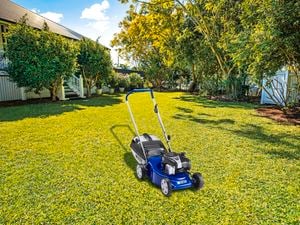 victa lawn mower in a garden