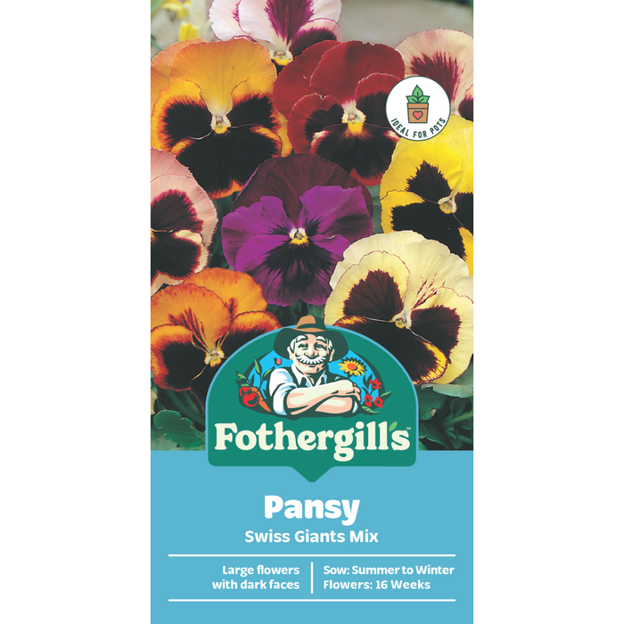 Fothergill's Pansy Swiss Giants Mixed Flower Seeds