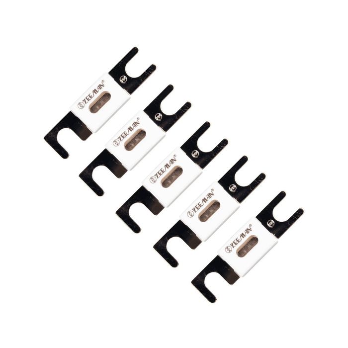 5x Victron 500A 80V ANL Fuse