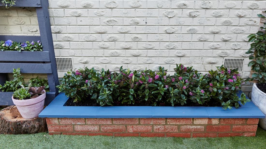 DIY - Header - D.I.Y. brick planter box 