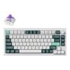 Keychron Q1 He Qmk Fully Assembled Knob Wireless Custom Shell White Keyboard - Gateron Double-rail Nebula Switch [kbkcq1hp1]