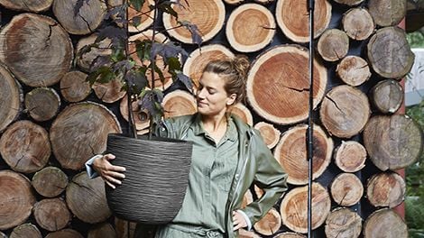 Woman holding pot plant