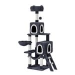 i.Pet 168cm Kitten Cat Tree