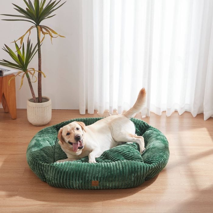 Charlie's Ascher Plush Corduroy Square Dog Bed Eden Green - Large