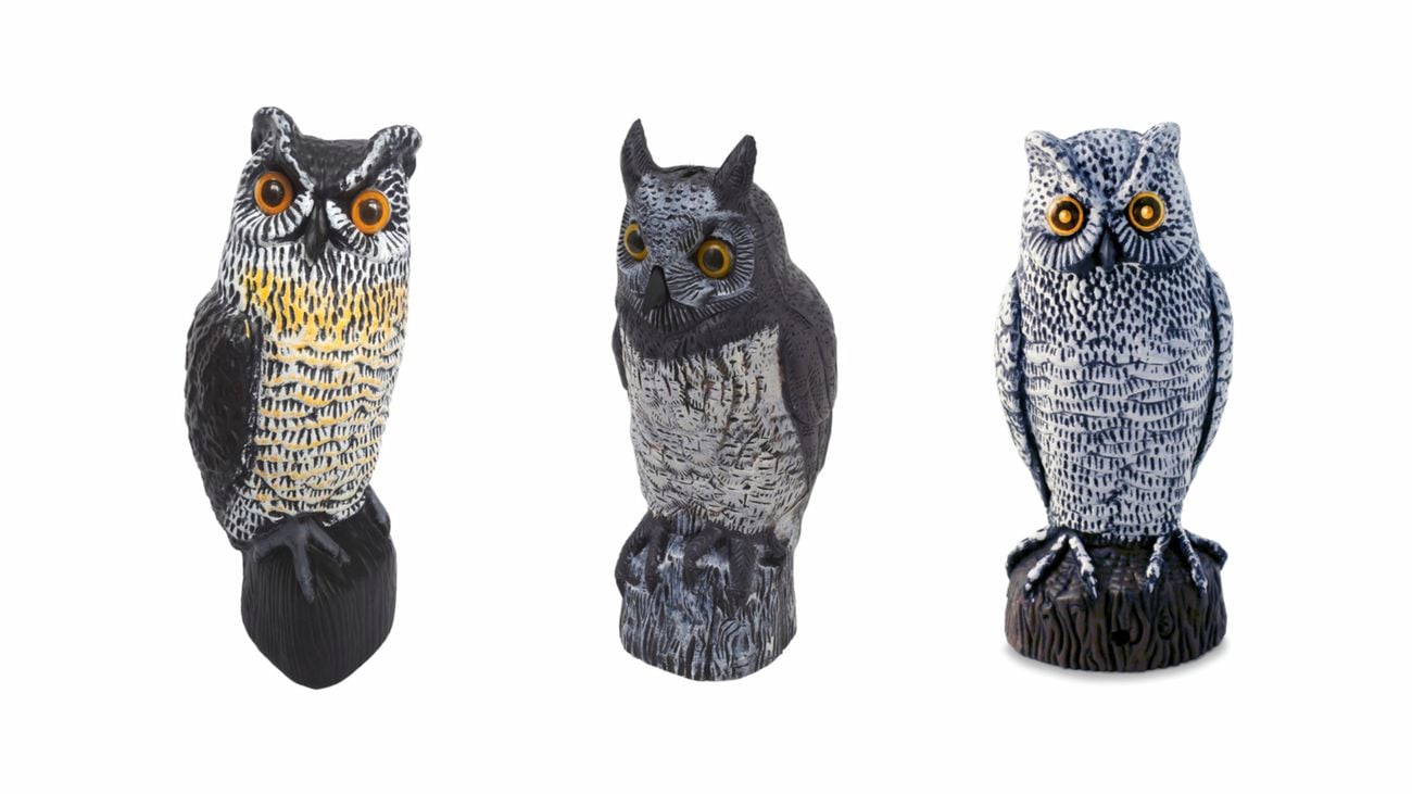 Three owl statues