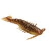 6 Pack of Zman 2.5 Inch PrawnZ Soft Plastic Fishing Lures - Rootbeer Gold