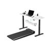 Lifespan Fitness WalkingPad M2 Treadmill with ErgoDesk Automatic White Standing Desk 1500mm + Cable Management Tray
