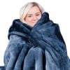 Laura Hill 600-GSM Mink Blanket Queen Size Double-Sided Soft Plush Bed Faux Throw Rug Wine Navy