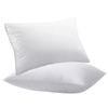 Starry Eucalypt Pillow Microfibre Cushion Twin Pack Soft 70x40CM