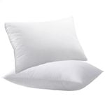 Starry Eucalypt Pillow Microfibre Cushion Twin Pack Soft 70x40CM