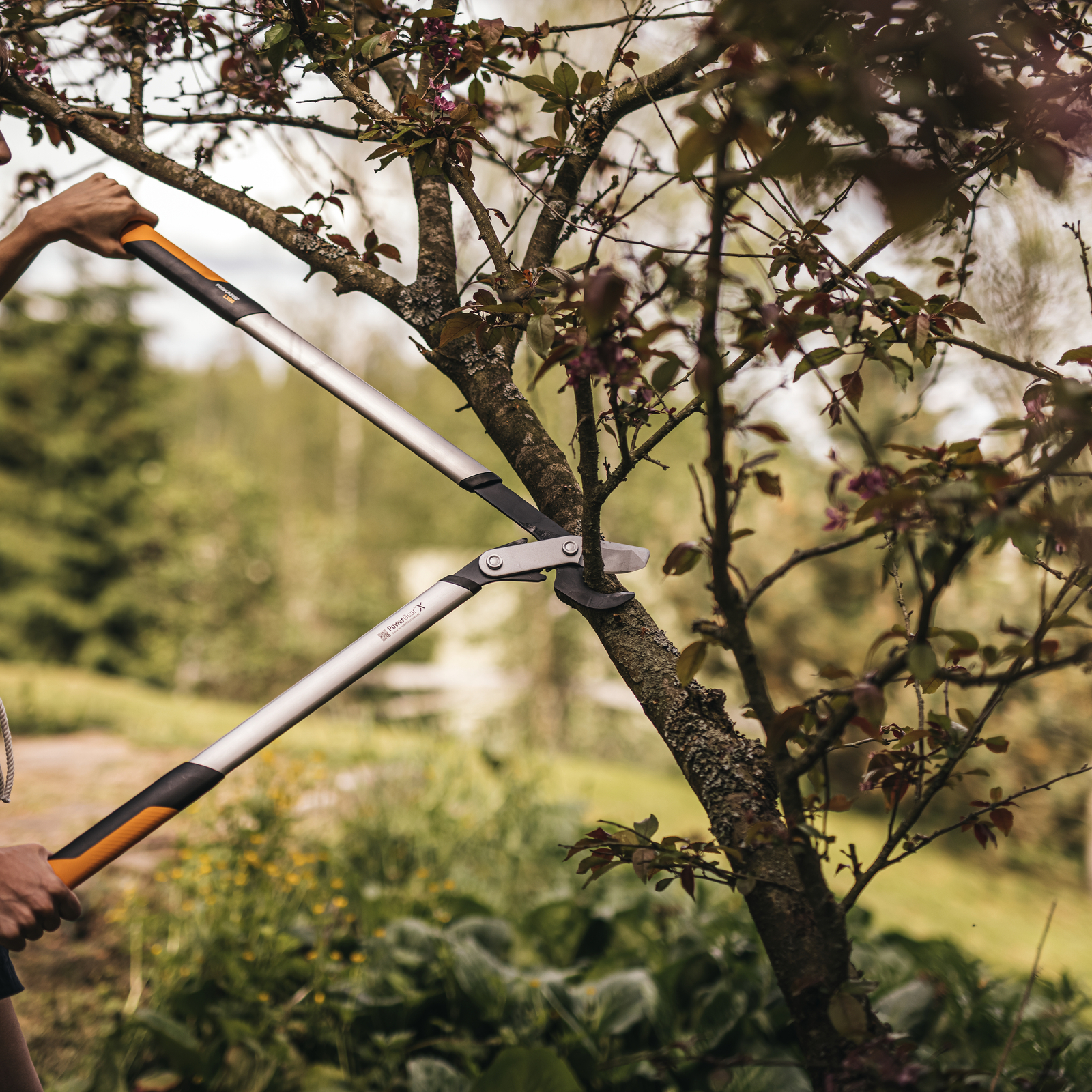 Fiskars Large PowerGearX Bypass Lopper Bunnings Australia