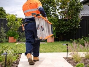 Worker in high-visibility orange and navy workwear carrying two aluminium Citeco ladders with orange safety end caps across a garden path.