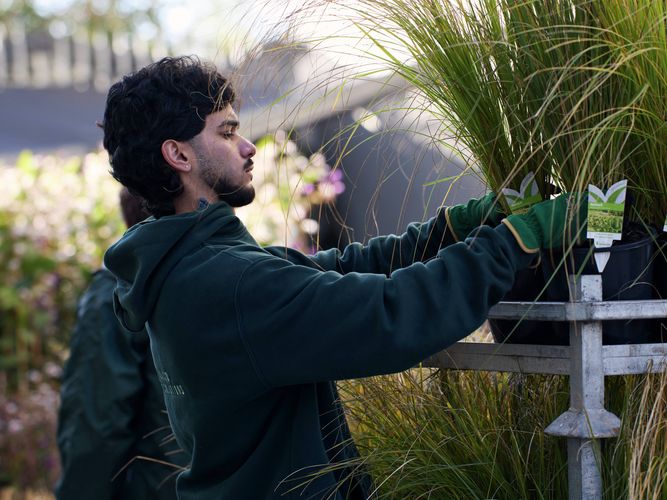 Trade Service - Commercial Greenlife - Image Gallery - 3