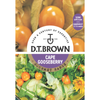 D.T. Brown Gourmet Cape Gooseberry Seeds