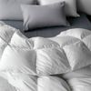Dreamz 200GSM Duck Feather and Down Filling Quilt Super King