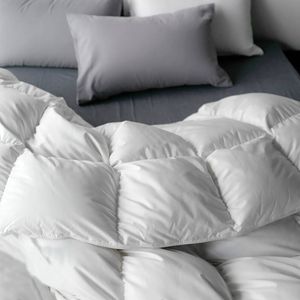 Dreamz 200GSM Duck Feather and Down Filling Quilt Super King