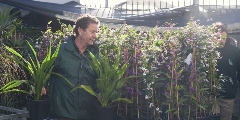 Trade Service - Commercial Greenlife - Header - BunningsLandscape_ 1291