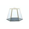Artesa Serving Cloche