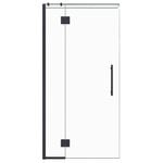 Stein 900 x 2000mm Black Project Shower - Door Only