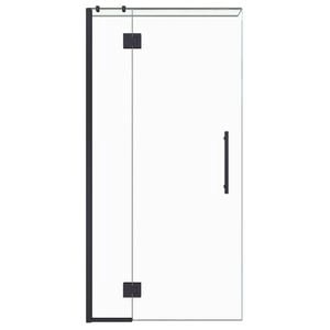 Stein 900 x 2000mm Black Project Shower - Door Only
