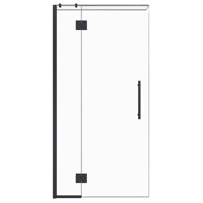 Stein 900 x 2000mm Black Project Shower - Door Only