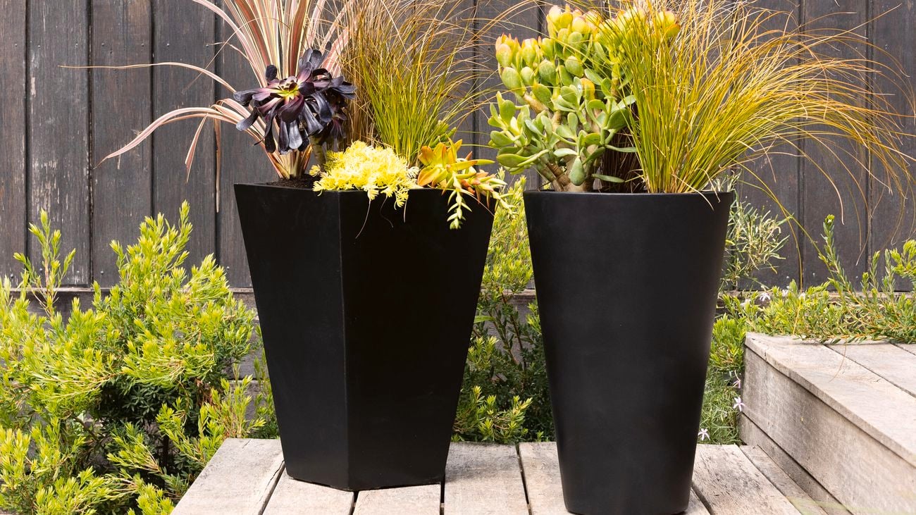 A tapered black square pot and a tapered black cone pot in a backyard filled with plants