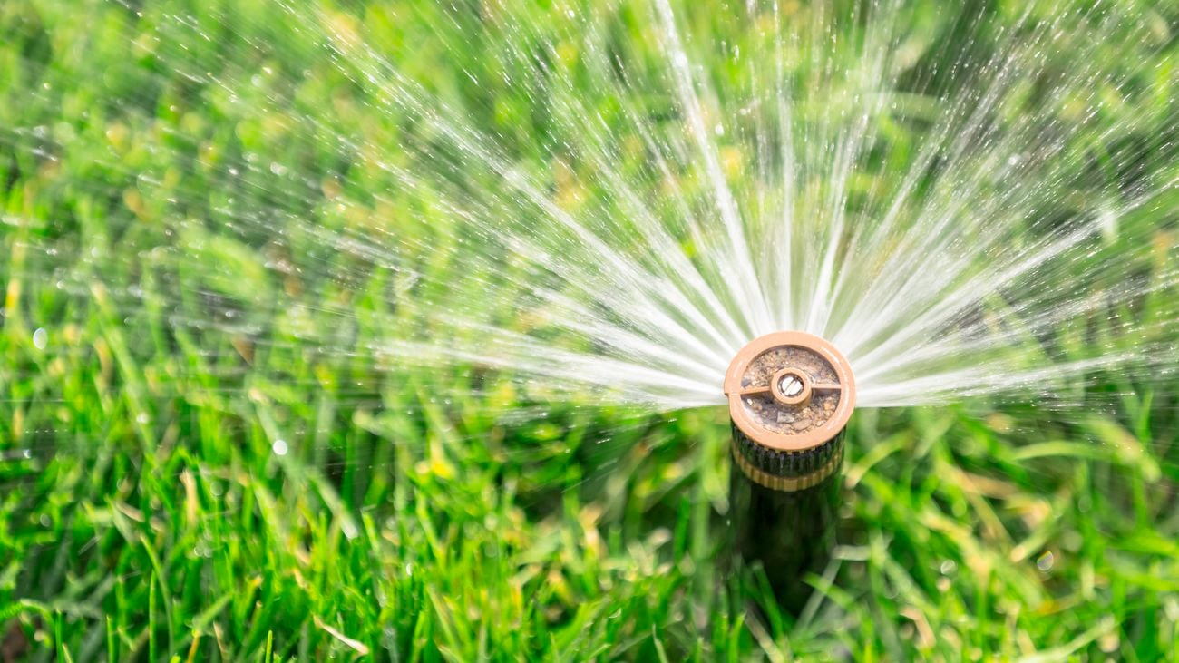 Close up image of an automatic lawn sprinkler spraying water onto green grass