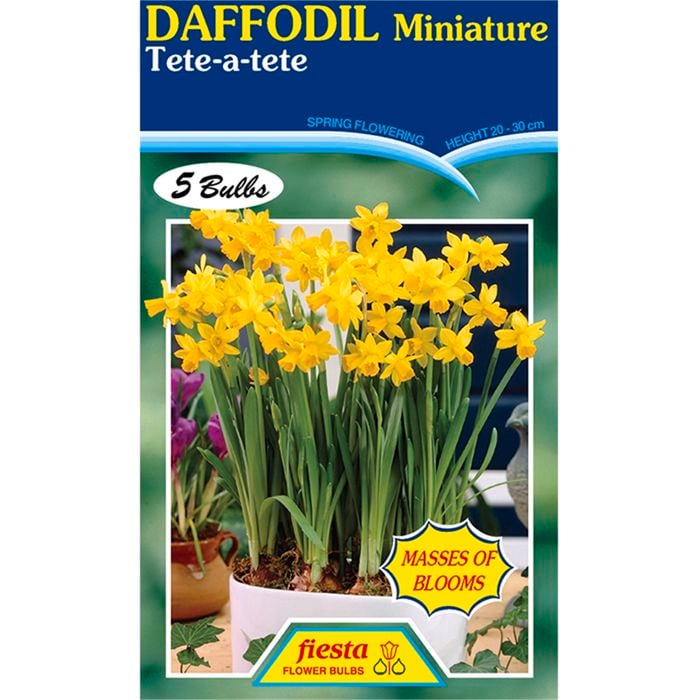 Daffodil Tete a Tete - 5 Bulbs