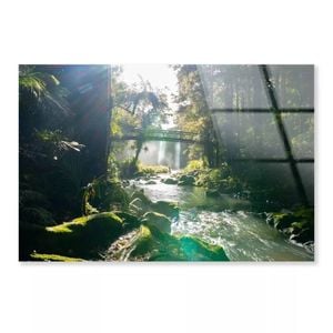 Misty Dark Dense River  Print 100% Australian Made 50 x 40cm  (Acrylic)