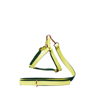 House Of Pets Delight Lime Step In Harness & Leash Set - Large