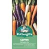 Fothergills Rainbow Carrot Seeds