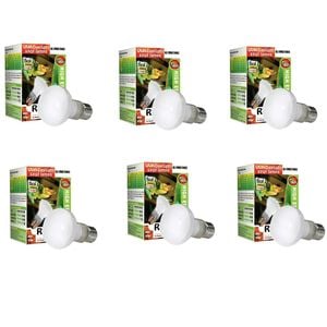 Reptile Day White Basking Spot Lamp 75w X 6