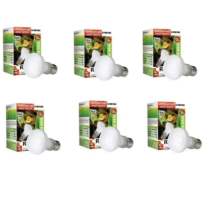Reptile Day White Basking Spot Lamp 75w x 6
