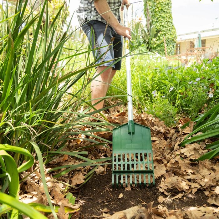 Cyclone Shrub Rake - Bunnings Australia