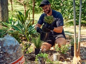 Person kneeling outdoors placing a small potted plant into soil among garden plants, tools, and greenery.