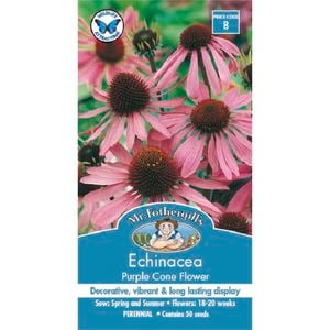 Mr Fothergill's Echinacea Purple Cone Flower Seeds