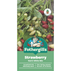 Fothergill's Red & White Strawberry Seeds