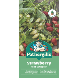 Fothergill's Red & White Strawberry Seeds