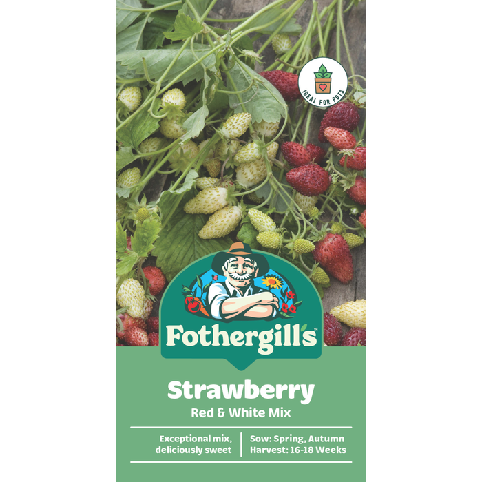 Fothergill's Red & White Strawberry Seeds
