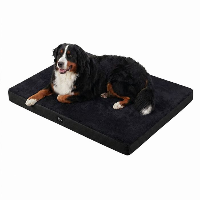Petzly Dog Bed Mat for Pet Machine Washable Cover Waterproof Liner Black XLarge