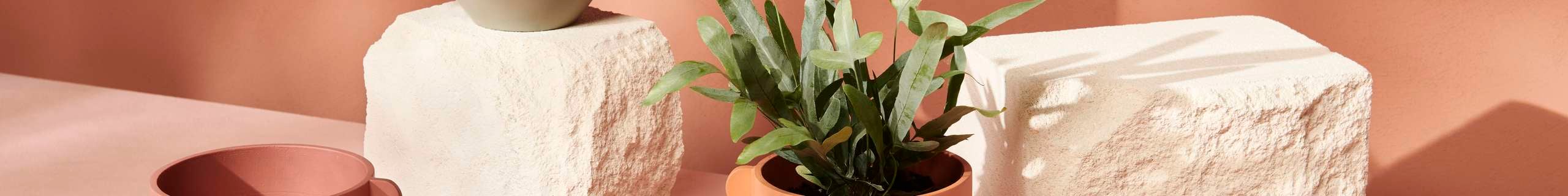 Feature Pot_Frill