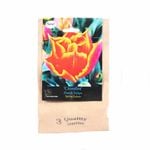 Yarra Valley Bulbs Tulip Crossfire - 4 Pack
