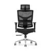 Shappa A9 Black Mesh Ergonomic Office Chair