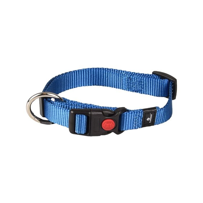 Flamingo Ziggi Blue Dog Collar - Medium
