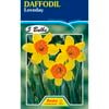 Fiesta Flower Bulbs Daffodil Love Day - 5 Bulbs