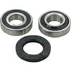 Rear Wheel Bearing Kit For Nissan 240z 260z