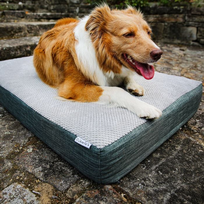 Charlie's Universal Dog Orthopedic Foam Crate Mattress Bed Grey Small