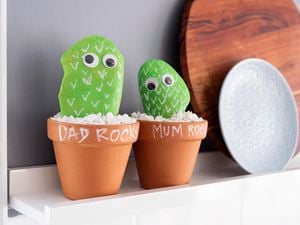 DIY Advice Image - How to create cactus rock pots. Elvis and Personal SharePoints blob storage upload.