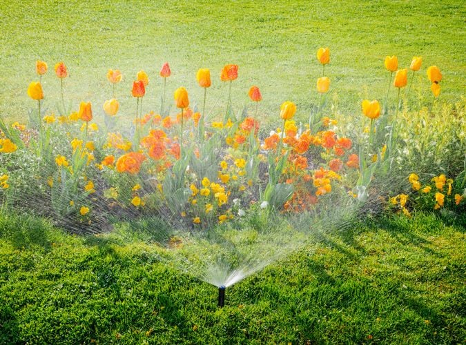 Sprinklers watering a garden bed